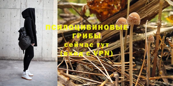 прущие крисы Ладушкин