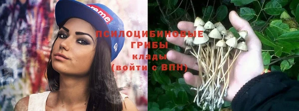 герыч Лагань