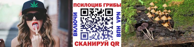 Купить где  Троицк  Псилоцибиновые грибы мицелий 
